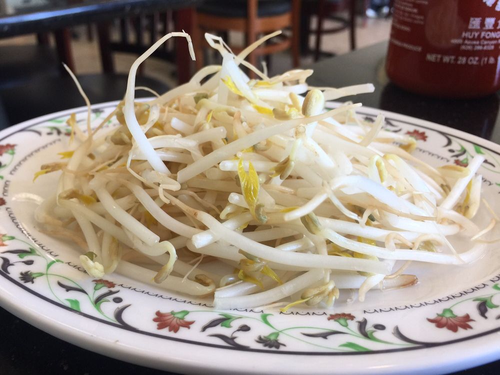 Plate of fresh bean sprouts for the pho